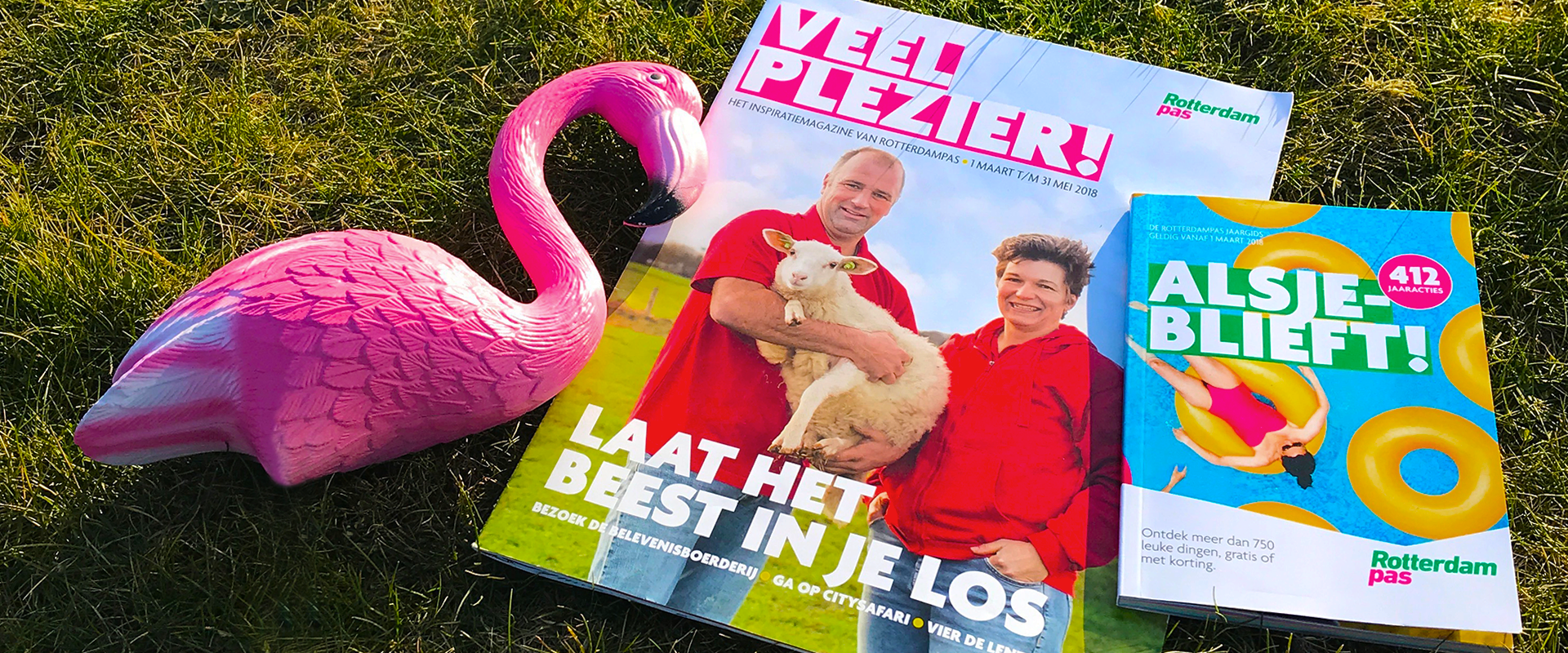 Omschrijving afbeelding