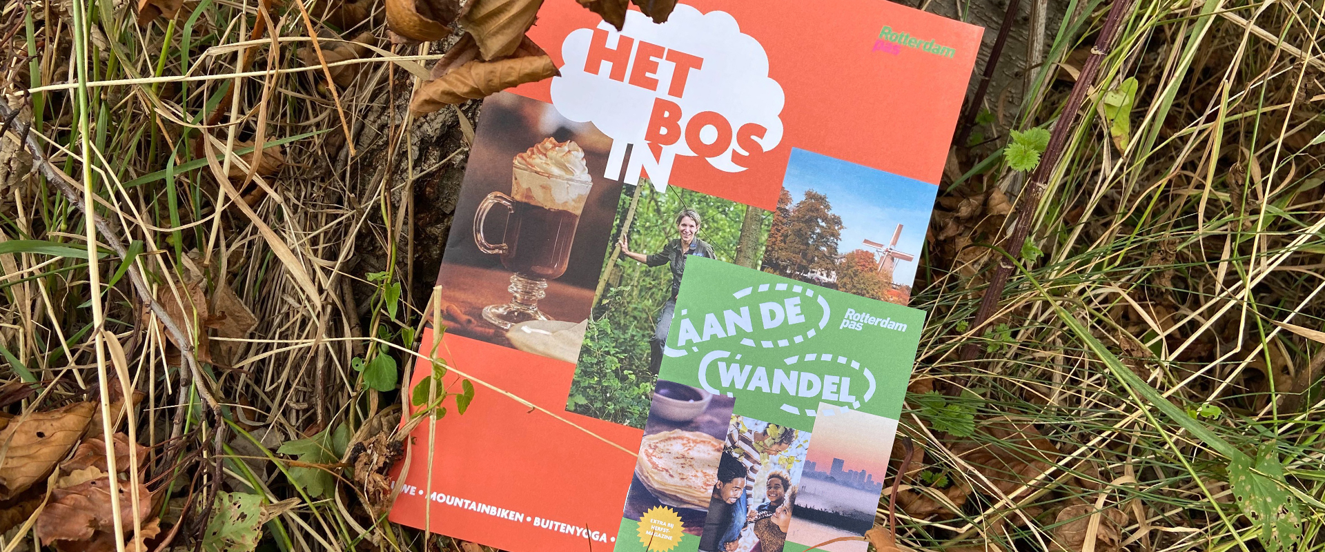 Omschrijving afbeelding