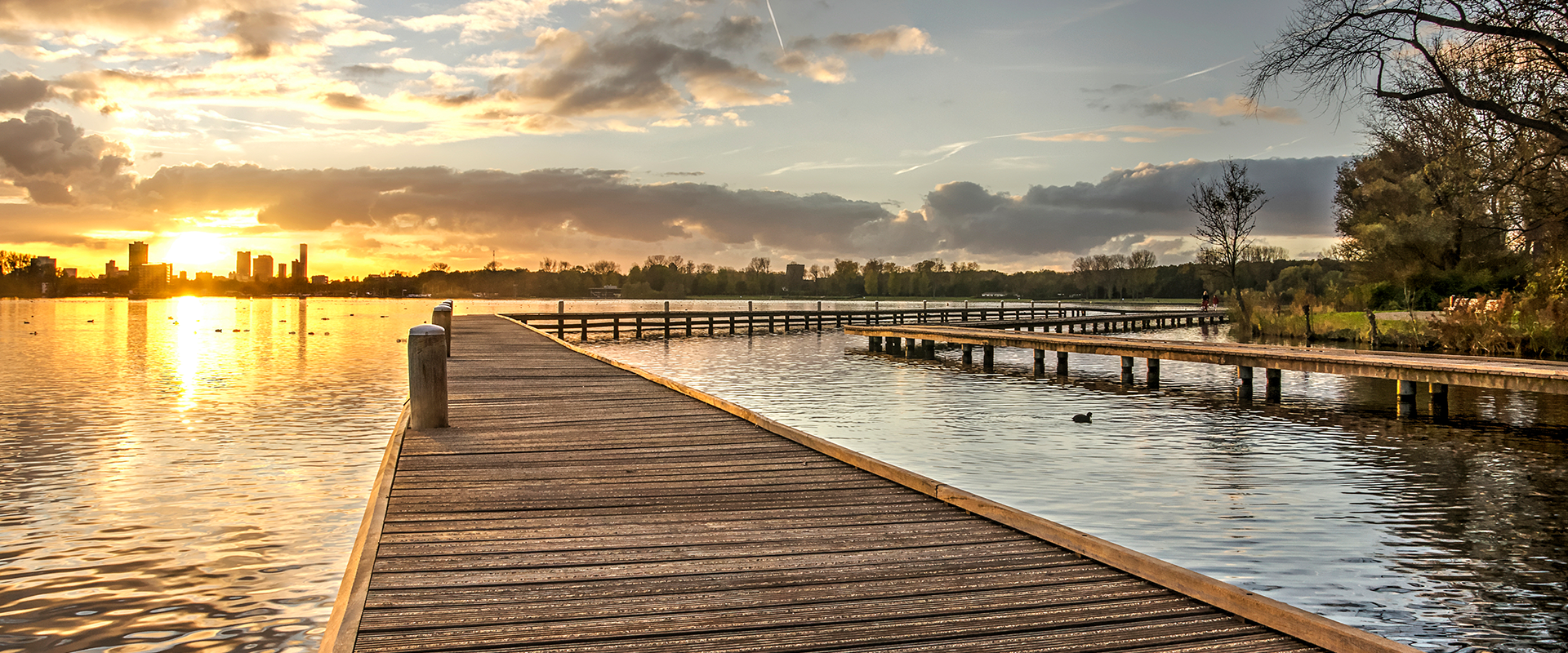 Foto van het landschap bij de Kralingse plas