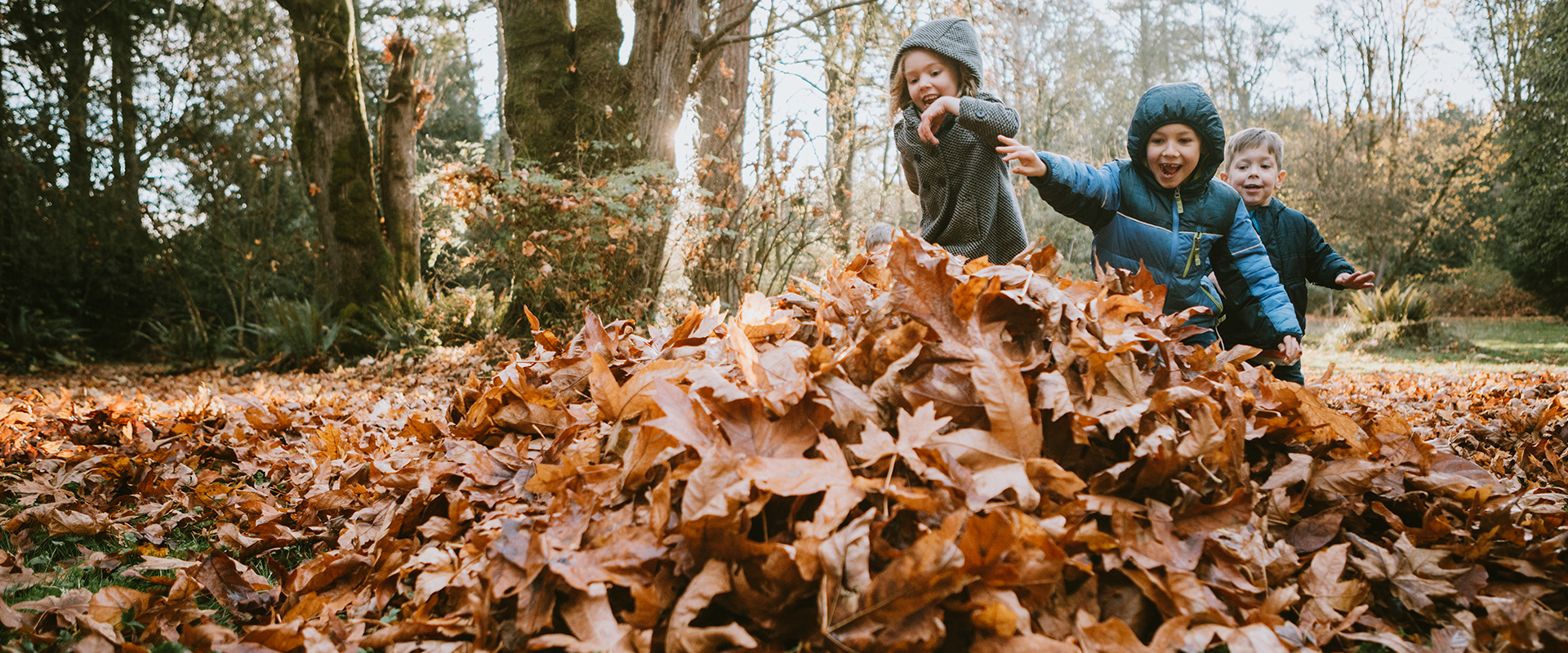 Kinderen aan het spelen tussen de herfstbladeren