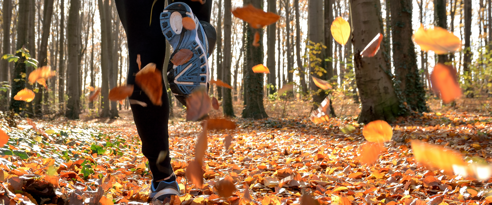 Hardlopen door het bos