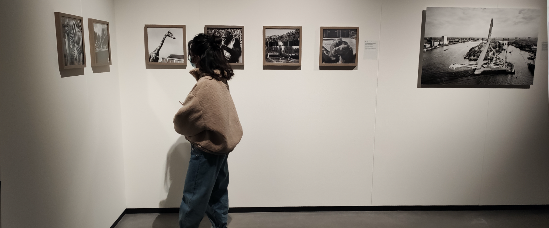 Koen's vriendin bekijkt verschillende foto's uit de tentoonstelling